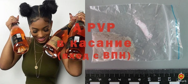 индика Осинники