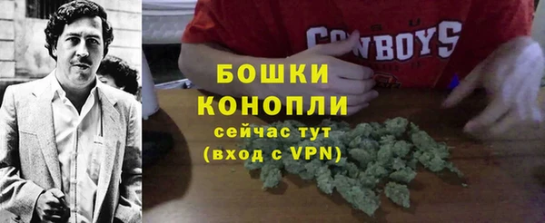 spice Пестово