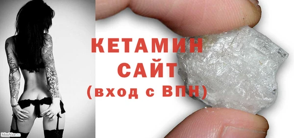 индика Осинники