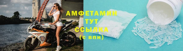 индика Осинники