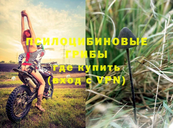 spice Пестово