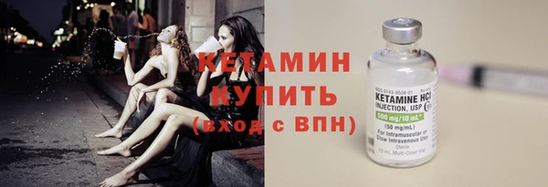 индика Осинники
