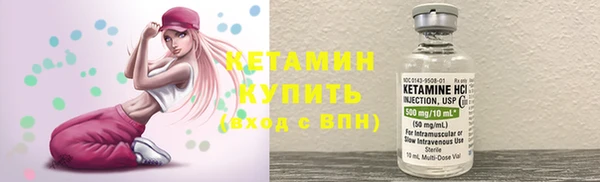 индика Осинники