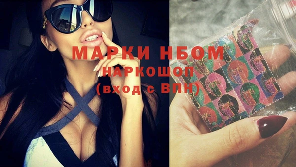 индика Осинники