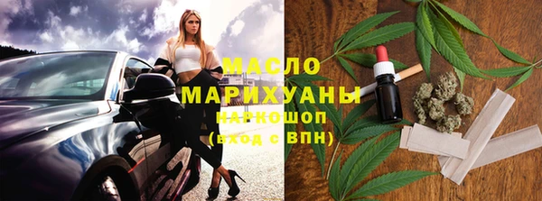 индика Осинники