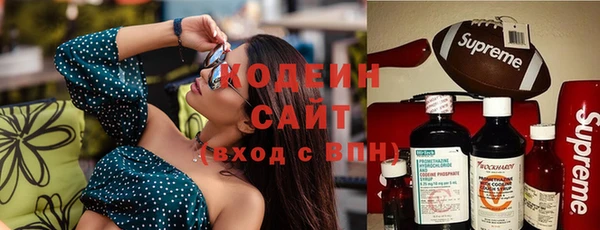 индика Осинники