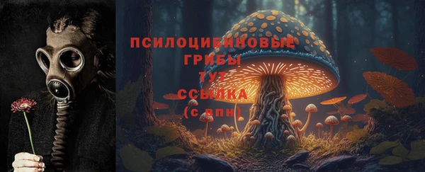 мет Видное