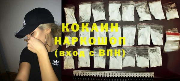 индика Осинники
